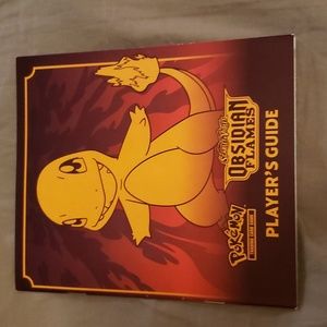 Perfect condition Obsidian Flames players guide book.